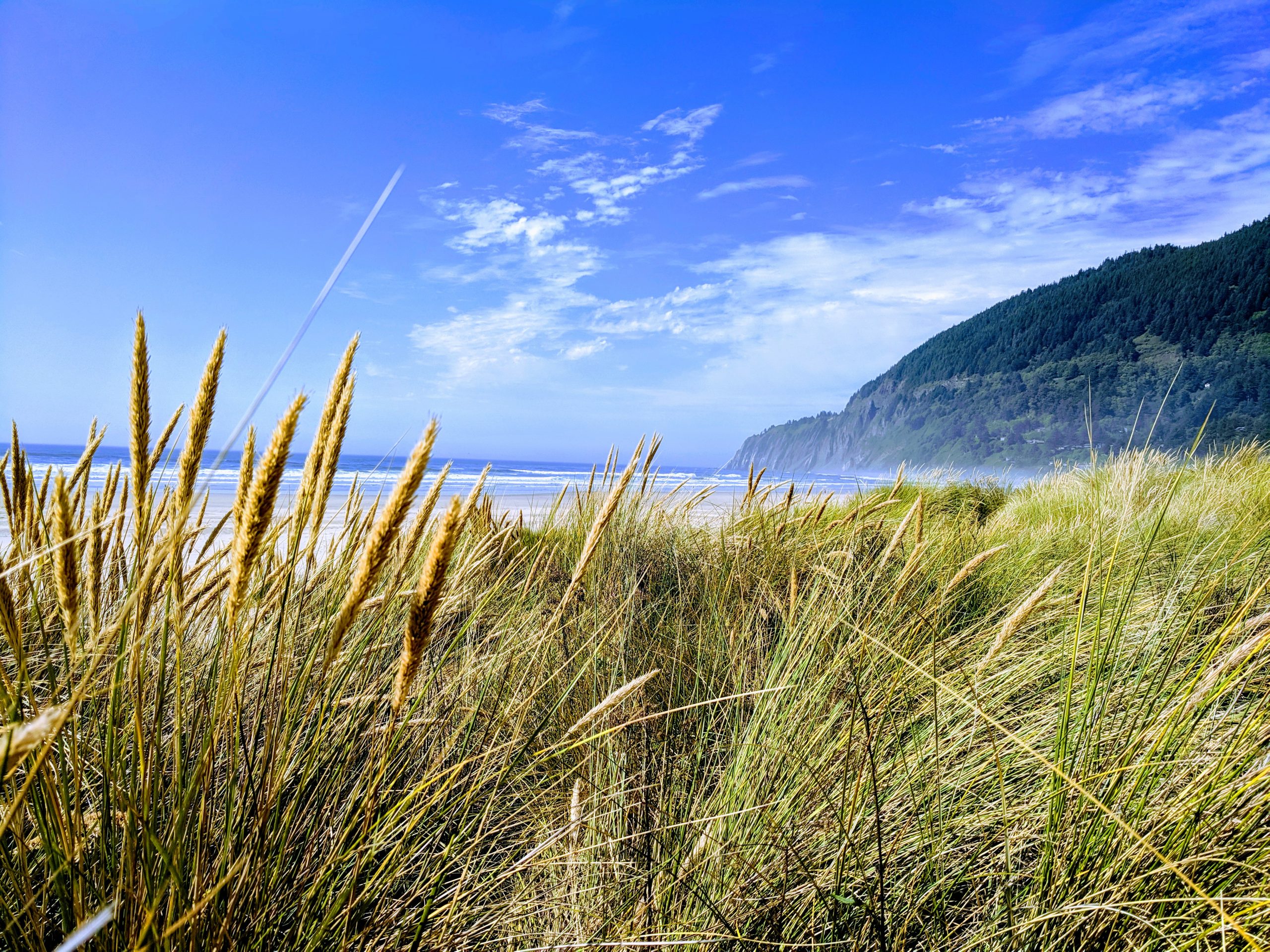 The View House the-view-house