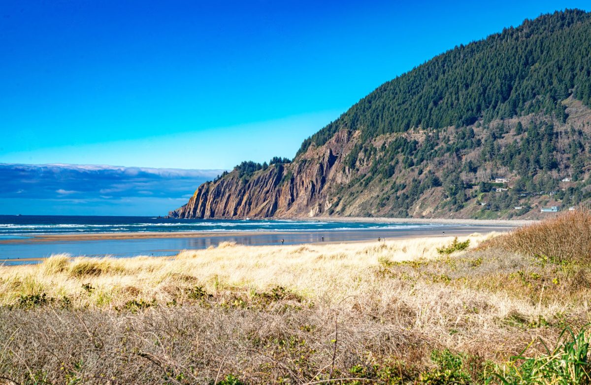 oregon beach view 